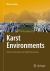 Karst Environments : Karren Formation in High Mountains