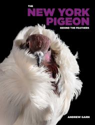 The New York Pigeon