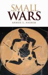 Small Wars : An Interpretive Analysis of Theory and Practice