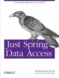 Just Spring Data Access