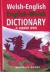 Welsh-English English-Welsh Dictionary