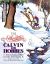 The Authoritative Calvin and Hobbes : A Calvin and Hobbes Treasury