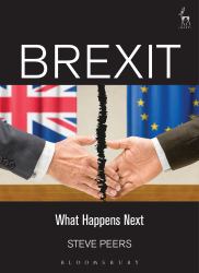 Brexit : What Happens Next