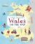 Wales on the Map: School Pack