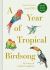 A Year of Tropical Birdsong