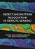 Object and Pattern Recognition in Remote Sensing : Modelling and Monitoring Environmental and Anthropogenic Objects and Change Processes