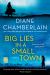 Big Lies in a Small Town : A Novel