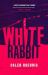 White Rabbit