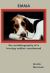 The Autobiography of a Treeing Walker Coonhound : Emma