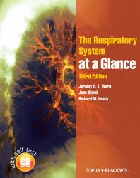 The Respiratory System