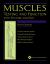 Muscles : Testing and Function with Posture and Pain