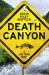 Death Canyon : A Jake Trent Novel