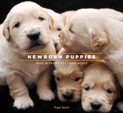 Newborn Puppies : Dogs in Their First Three Weeks