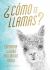 Como Te Llamas? : Everyday Llamas You Might Know