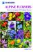 Alpine Flowers : How to Recognize over 200 Alpine Flowers