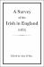 A Survey of the Irish in England (1872)