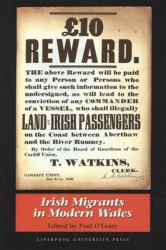 Irish Migrants in Modern Wales