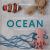 How to Crochet Animals: Ocean : 25 Mini Menagerie Patterns