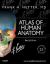 Atlas of Human Anatomy : Including Student Consult Interactive Ancillaries and Guides