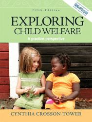 Exploring Child Welfare : A Practice Perspective