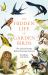 The Hidden Life of Garden Birds : The Unseen Drama Behind Everyday Survival