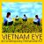 Vietnam Eye : Contemporary Vietnamese Art