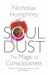 Soul Dust : The Magic of Consciousness