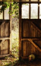 Notebook : Barn Doors Old Vintage Wooden Shed