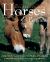 The Complete Illustrated Encyclopedia of Horses and Ponies