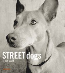 Street Dogs