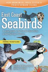 East Coast Seabirds : A Visual Guide to the Sea and Shore Birds of the Maritime Provinces