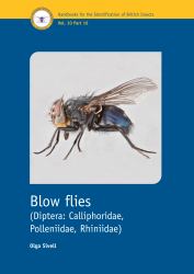 Blow Flies (Diptera - Calliphoridae, Polleniidae, Rhiniidae)