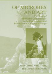 Of Microbes and Art : The Role of Microbial Communities in the Degradation and Protection of Cultural Heritage