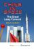 China in Space : The Great Leap Forward