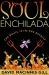 Soul Enchilada