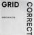 Gerco de Ruijter: Grid Corrections