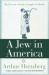 A Jew in America : My Life and a People's Struggle for Identity