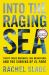 Into the Raging Sea : Thirty-Three Mariners, One Megastorm, and the Sinking of el Faro