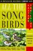 All the Songbirds: Eastern Trailside