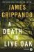 A Death in Live Oak : A Jack Swyteck Novel