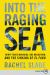 Into the Raging Sea : Thirty-Three Mariners, One Megastorm, and the Sinking of el Faro