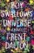 Boy Swallows Universe : A Novel