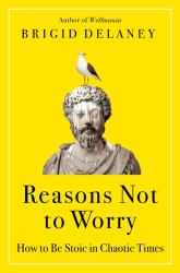 Reasons Not to Worry : How to Be Stoic in Chaotic Times