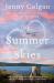 The Summer Skies : A Novel