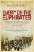 Enemy on the Euphrates : The British Occupation of Iraq and the Great Arab Revolt, 1914-1921