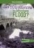 Can You Survive the Johnstown Flood? : An Interactive History Adventure