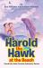 Harold the Hawk at the Beach : Harold the Hawk Cousins Adventure Series