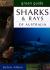 Sharks & Rays Of Australia