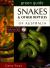 Snakes & Other Reptiles of Australia