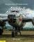 Mitchell Masterpieces 3 : An Illustrated History of B-25 Warbirds in Business